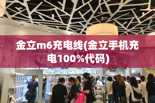 金立m6充电线(金立手机充电100%代码)