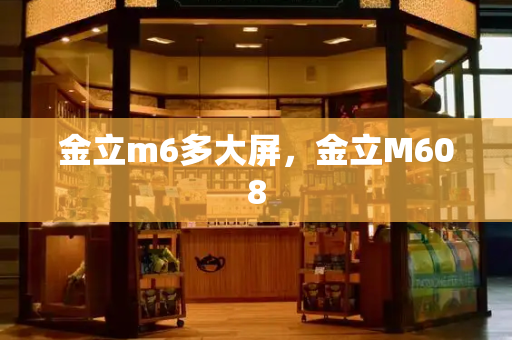 金立m6多大屏，金立M608-第1张图片-星选测评