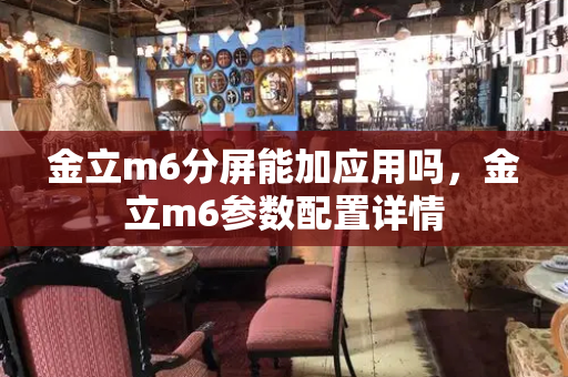 金立m6分屏能加应用吗，金立m6参数配置详情-第1张图片-星选测评