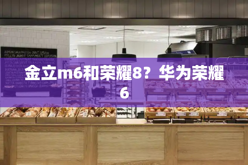 金立m6和荣耀8？华为荣耀6-第1张图片-星选测评