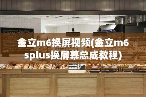 金立m6换屏视频(金立m6splus换屏幕总成教程)