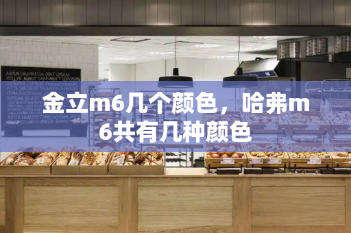 金立m6几个颜色，哈弗m6共有几种颜色-第1张图片-星选测评