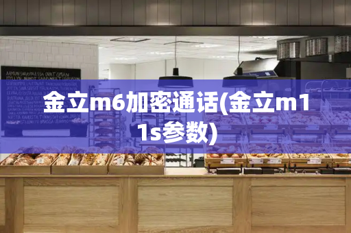 金立m6加密通话(金立m11s参数)-第1张图片-星选测评