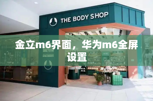 金立m6界面，华为m6全屏设置-第1张图片-星选测评