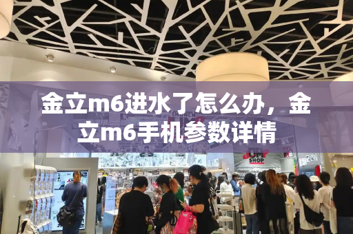 金立m6进水了怎么办，金立m6手机参数详情