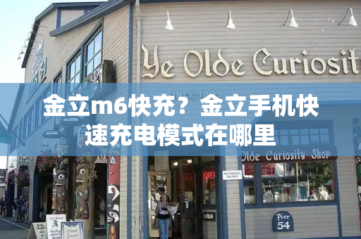 金立m6快充？金立手机快速充电模式在哪里-第1张图片-星选测评