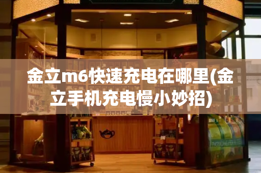 金立m6快速充电在哪里(金立手机充电慢小妙招)-第1张图片-星选测评