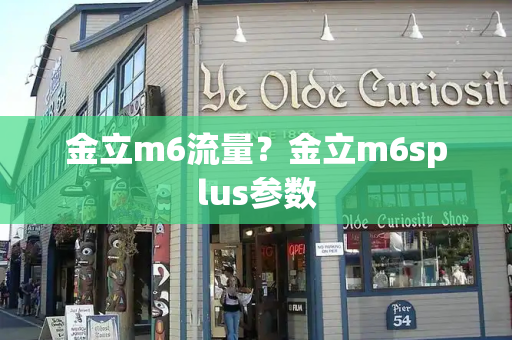 金立m6流量？金立m6splus参数-第1张图片-星选测评