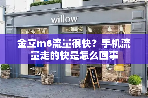 金立m6流量很快？手机流量走的快是怎么回事-第1张图片-星选测评