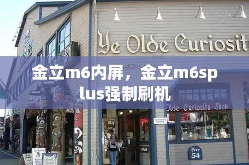 金立m6内屏，金立m6splus强制刷机-第1张图片-星选测评