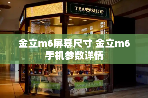 金立m6屏幕尺寸 金立m6手机参数详情-第1张图片-星选测评