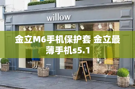 金立M6手机保护套 金立最薄手机s5.1-第1张图片-星选测评