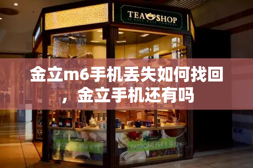 金立m6手机丢失如何找回，金立手机还有吗-第1张图片-星选测评