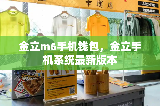 金立m6手机钱包，金立手机系统最新版本