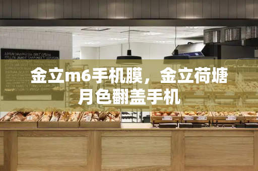 金立m6手机膜，金立荷塘月色翻盖手机