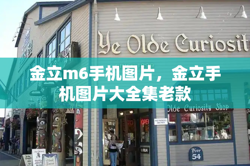 金立m6手机图片，金立手机图片大全集老款