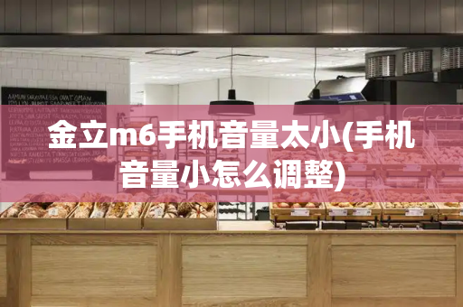 金立m6手机音量太小(手机音量小怎么调整)-第1张图片-星选测评