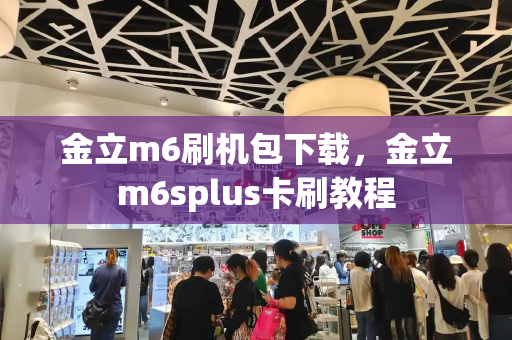 金立m6刷机包下载，金立m6splus卡刷教程-第1张图片-星选测评