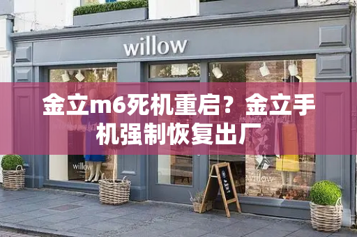 金立m6死机重启？金立手机强制恢复出厂-第1张图片-星选测评