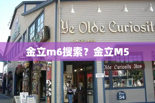 金立m6搜索？金立M5-第1张图片-星选测评