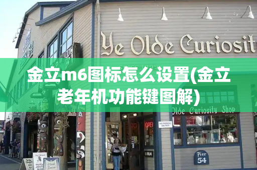 金立m6图标怎么设置(金立老年机功能键图解)-第1张图片-星选测评