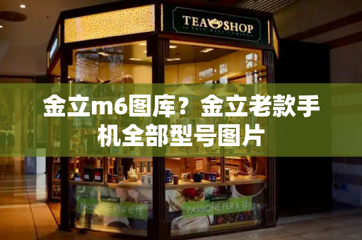 金立m6图库？金立老款手机全部型号图片-第1张图片-星选测评