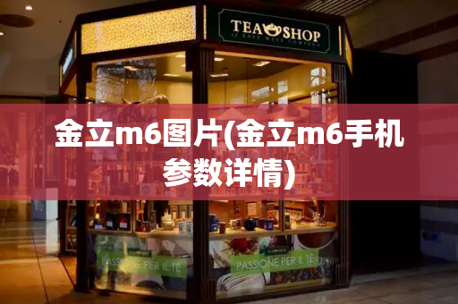 金立m6图片(金立m6手机参数详情)-第1张图片-星选测评