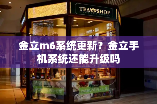 金立m6系统更新？金立手机系统还能升级吗-第1张图片-星选测评