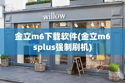 金立m6下载软件(金立m6splus强制刷机)-第1张图片-星选测评