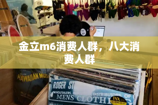金立m6消费人群，八大消费人群