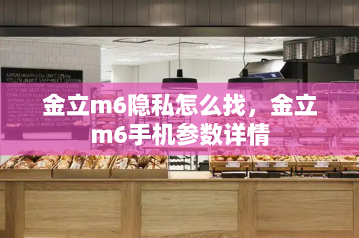 金立m6隐私怎么找，金立m6手机参数详情-第1张图片-星选测评