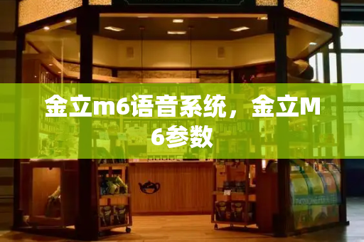 金立m6语音系统，金立M6参数-第1张图片-星选测评