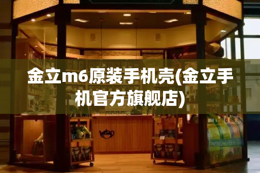金立m6原装手机壳(金立手机官方旗舰店)