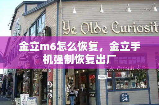 金立m6怎么恢复，金立手机强制恢复出厂-第1张图片-星选测评