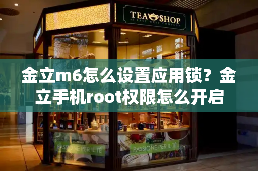 金立m6怎么设置应用锁？金立手机root权限怎么开启-第1张图片-星选测评