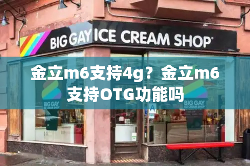 金立m6支持4g？金立m6支持OTG功能吗