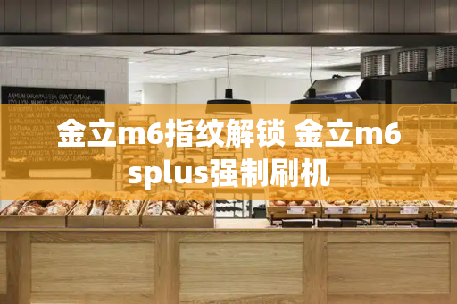 金立m6指纹解锁 金立m6splus强制刷机-第1张图片-星选测评