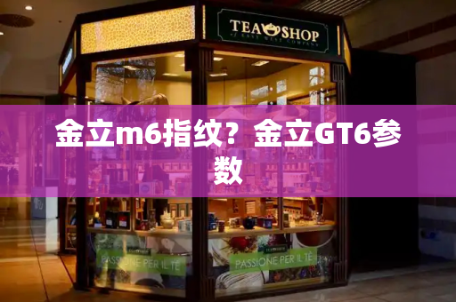 金立m6指纹？金立GT6参数