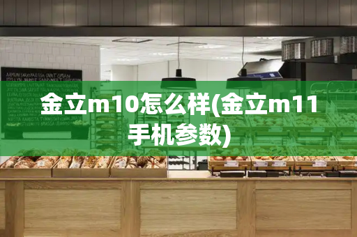 金立m10怎么样(金立m11手机参数)