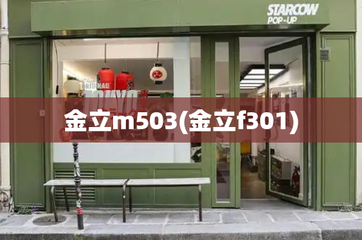 金立m503(金立f301)-第1张图片-星选测评