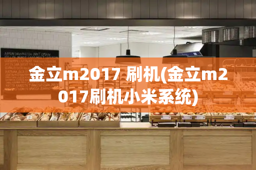 金立m2017 刷机(金立m2017刷机小米系统)-第1张图片-星选测评