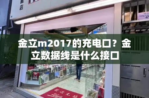 金立m2017的充电口？金立数据线是什么接口