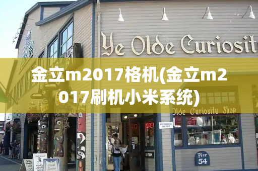 金立m2017格机(金立m2017刷机小米系统)-第1张图片-星选测评