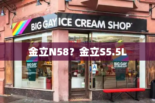 金立N58？金立S5.5L-第1张图片-星选测评