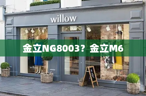 金立NG8003？金立M6-第1张图片-星选测评
