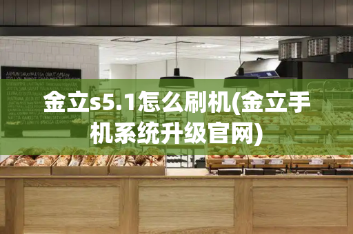 金立s5.1怎么刷机(金立手机系统升级官网)