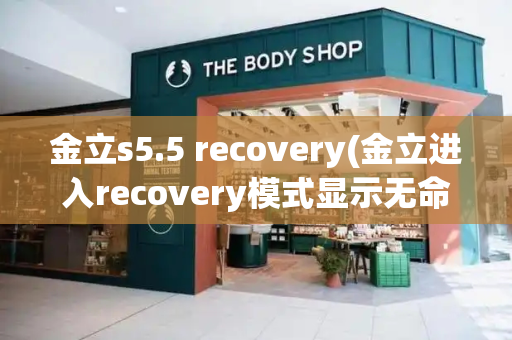 金立s5.5 recovery(金立进入recovery模式显示无命令)-第1张图片-星选测评