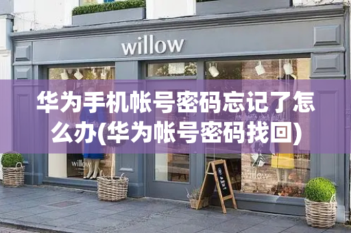 华为手机帐号密码忘记了怎么办(华为帐号密码找回)