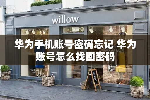 华为手机账号密码忘记 华为账号怎么找回密码