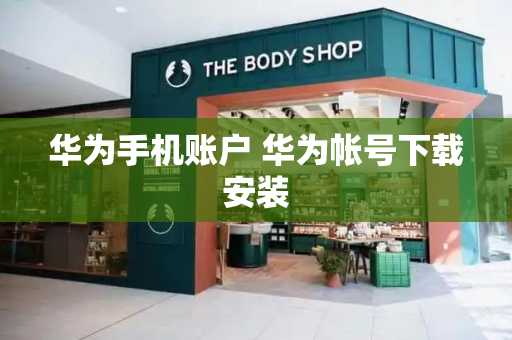 华为手机账户 华为帐号下载安装-第1张图片-星选测评